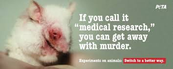 animal testing quotes - Google Search | Cruelty Free | Pinterest ... via Relatably.com