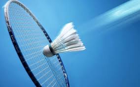 Image result for badminton