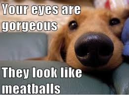 FunniestMemes.com - Funny Memes - [Your Eyes Are Gorgeous] via Relatably.com