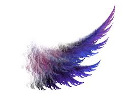 Image result for wings