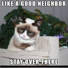 17 Most Funny Grumpy Cat Memes of All Time - Page 2 of 6 - Tons Of ... via Relatably.com