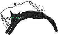 Image result for SARK's cat jupiter