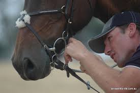 ... do before letting their pupils tear off over cross country fences is to check their tack and Will&#39;s eye was drawn to Brittany&#39;s use of the Dutch gag bit ... - Will_Enzinger_Training_Clinic%2520(9)