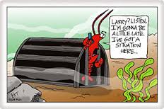 Image result for maine lobster cartoons