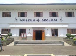 Image result for gambar gambar yang ada di museum geologi bandung