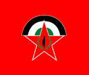 democratic front for the liberation of palestine