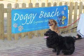 Και οι σκύλοι χρειάζονται τις παραλίες τους!!!