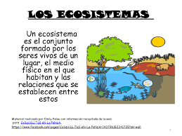 http://cplosangeles.juntaextremadura.net/web/edilim/tercer_ciclo/cmedio/los_ecosistemas/las_relaciones_del_ecosistema/las_relaciones_del_ecosistema.html