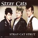 Stray Cat Strut [Echo Bridge]