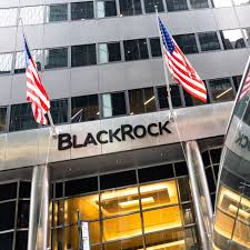 BlackRock acquires minority stake in SMB 401(k) provider Human Interest