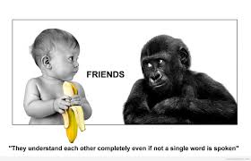 Funny Friendship Day Quotes | Happy Friendship Day 2015 Quotes ... via Relatably.com