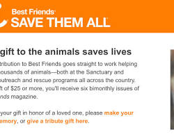 Supporting organizations that help animals