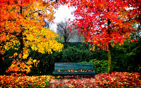 Resultado de imagen de imágenes del paisaje en otoño