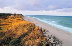 Image result for cape cod