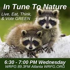 In Tune to Nature Podcast