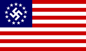 Image result for nazi pics flag