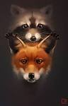 raccoon fox