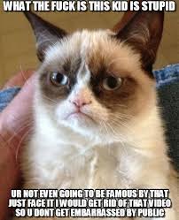 What The Fuck Is This Kid Is Stupid - Grumpy Cat meme on Memegen via Relatably.com