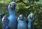 rio 2 cast parrots talking and singing doc