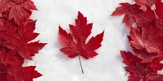 Image result for canada flag