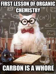 Chemistry Cat memes | quickmeme via Relatably.com