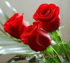 Картинки по запросу С ДОБРЫМ УТРОМ ! И РАДУЙТЕСЬ И ЕЩЁ - РАДУЙТЕСЬ!!!