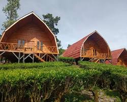 Gambar Bobocabin Ranca Upas, Villa terdekat Kawah Putih Ciwidey