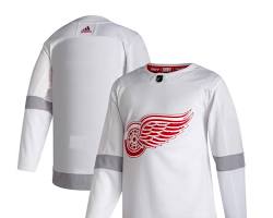 Image of Detroit Red Wings Reverse Retro jersey