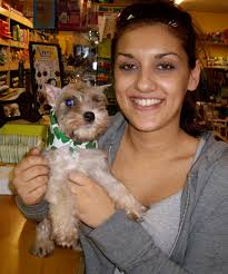This great Mini Schnauzer found a great home right away and I am so happy for him! feb09-schnauz-home. I can&#39;t believe how quickly he found a home! - feb09-schnauz-home