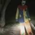 Two creepy clowns chased in Queensland