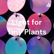 Light for Tiny Plants