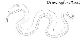 Image result for snake drawing