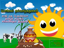 Image result for pongal wishes in tamil