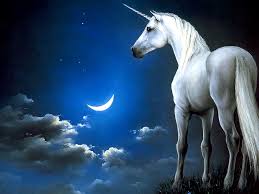 Image result for unicorn pictures