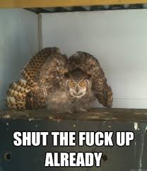 Ornery Owl memes | quickmeme via Relatably.com