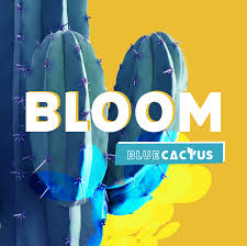 Bloom by Blue Cactus