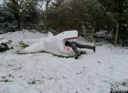 Image result for shark shoveling snow