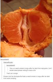 Weed Smokers Lungs Orange | Tumblr | Know Your Meme via Relatably.com