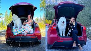 Living Unique Lifestyle Choice: Woman Saves P113,000 per Month by Living in a Tesla Car for Over a Year