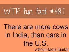 Wtf fun facts on Pinterest | Weird Facts, Funny Meme Comics and ... via Relatably.com
