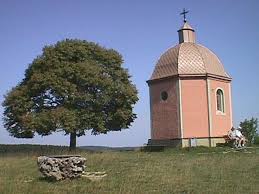 Baum neben Kirche - Bild \u0026amp; Foto von Hans Messner aus Ländliche ... - 6564565