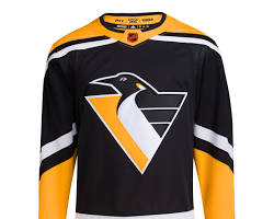 Image of Pittsburgh Penguins Reverse Retro jersey