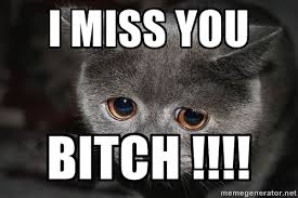 I Miss You BITCH !!!! - sad cat | Meme Generator via Relatably.com