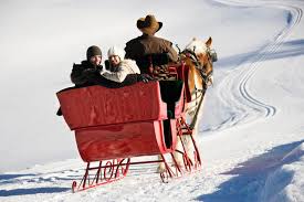 Image result for sleigh ride