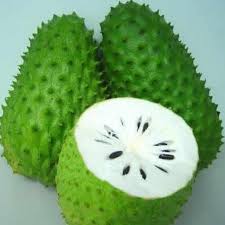 Hasil carian imej untuk buah dan daun durian belanda