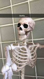 GAGBAY - Halloween memes skeleton selfies via Relatably.com