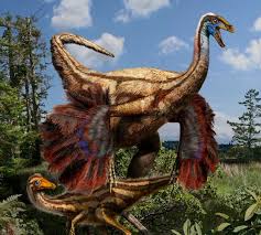 Resultado de imagen para dinosaur wing images