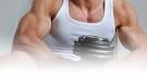 Testosteron (stimulerend) - Bodybuilding Body Fitshop
