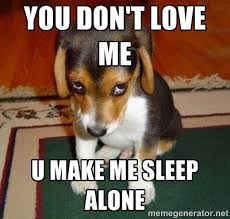 you don&#39;t love me u make me sleep alone - Sad Puppy | Meme Generator via Relatably.com