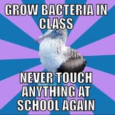 Teaching Biology on Pinterest | Mitosis, Teacher Memes and Biology via Relatably.com